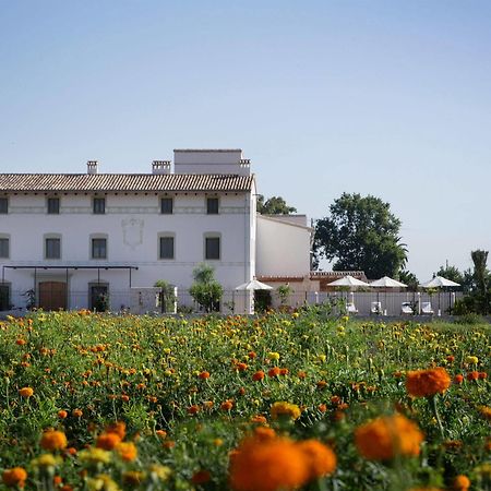 Hotel La Mozaira à Alboraia Extérieur photo